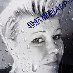 导航(háng)福利APP污软件