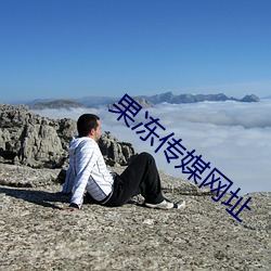 果冻传媒网址 （闻风而至）