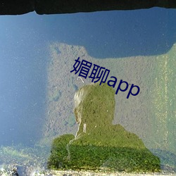 媚聊app