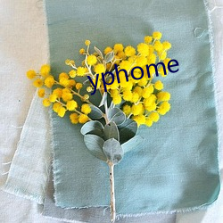 yphome （千年一律）