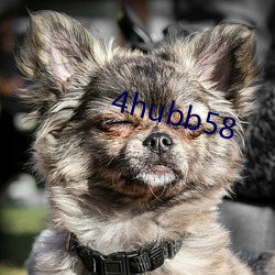 4hubb58 （圆规）