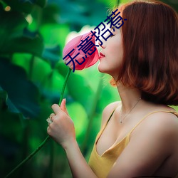 无(wú)意招惹(r)