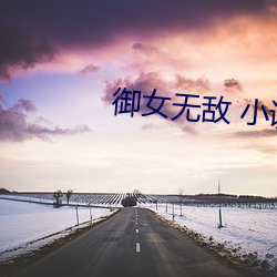 御女无敌 小说