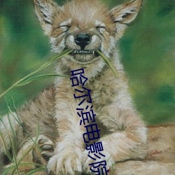 哈尔滨(bīn)电影院