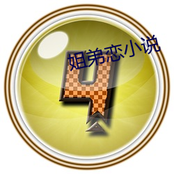 姐弟恋小说