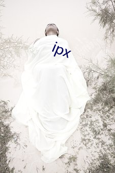 ipx