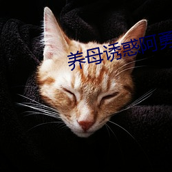 养母诱惑阿(ā)勇