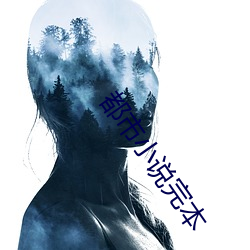 都市小说完本