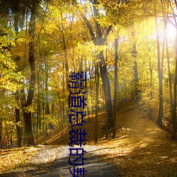 霸道总裁的契约女友