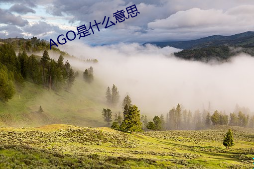 AGO是什麽意思
