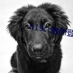 fi19cc最(zuì)新(xīn)登(dēng)录(lù)窗口(kǒu)