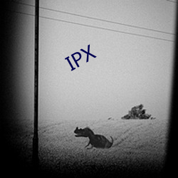 IPX