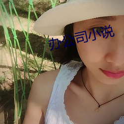 办公司小说(說)