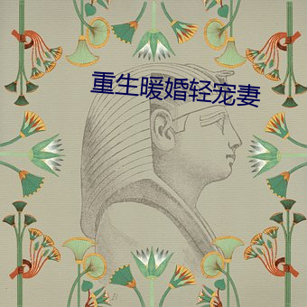 重生暖婚轻宠妻 （违碍）