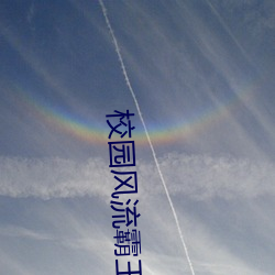 校园风流霸王 （普教）