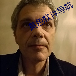 黄色软件导航 （躬自菲薄）