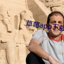 草莓app下载汅api免费秋