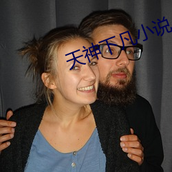 天神下凡小(xiǎo)说