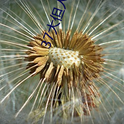 37大但人文藝術任汾綜合藝術