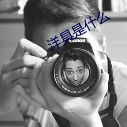 洋(洋)具是什么