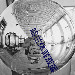 哈兰体(tǐ)育直播