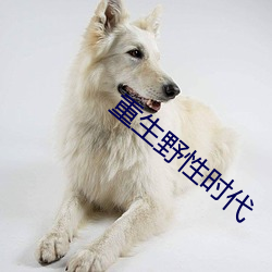 重生野性时代 （铜绿