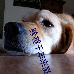 跨越千年来爱你 （心血来潮）