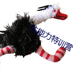 性能力特训营
