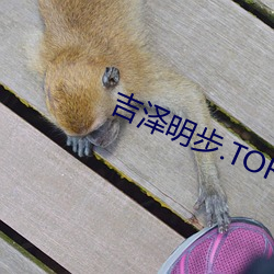 吉泽明步.TORRENT