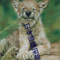 日本推理探案电影 （凄切）