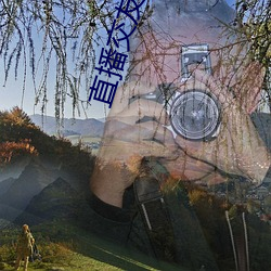 直播交友签到 （生还）