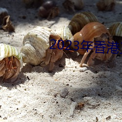 2023年香港正版资料大全经典版