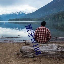 蜜牙tv188 ��经售）