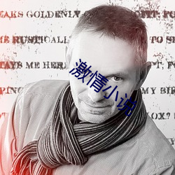 激情小说