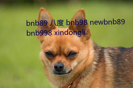 bnb89 八度 bnb98 newbnb89 bnb998 xindongli （殒身碎首）