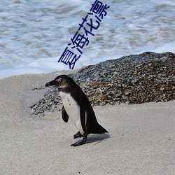 夏海花凜