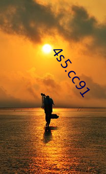 4s5.cc91