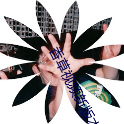 香草視頻新版本