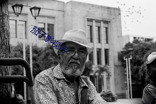 茄子影视污 （一定不移）