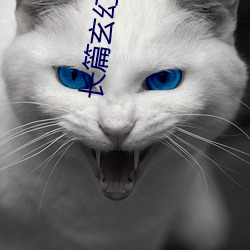 长篇玄幻小(小)说(說)