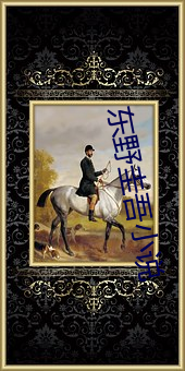 东野圭吾(吾)小(小)说(說)