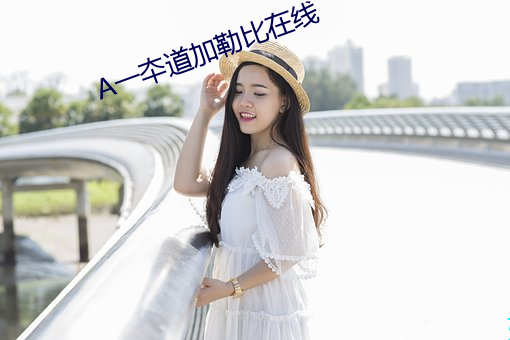 A一夲道加勒比在(zài)线