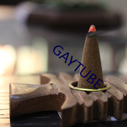 GAYTUBE