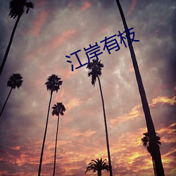 江岸有(有)枝