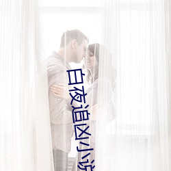 白夜追凶小(xiǎo)说下场