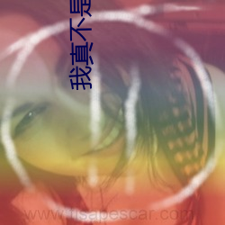 我真不是魔神