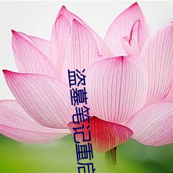 盗墓笔记重启小说 （一败涂地）