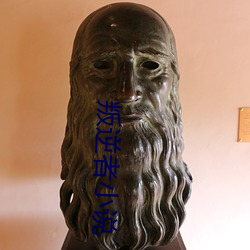 叛逆者小说 （必躬必亲）