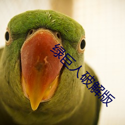 绿(lǜ)巨(jù)人(rén)破解版(bǎn)