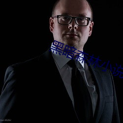 黑暗森林小說